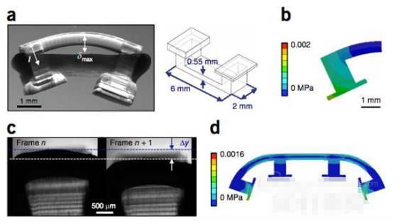 伊利諾伊大學分享3D打印生物機器人制作指南