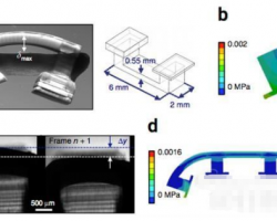 伊利諾伊大學(xué)分享3D打印生物機(jī)器人制作指南