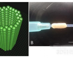 日本研發(fā)出可促進(jìn)神經(jīng)再生的生物3D打印導(dǎo)管